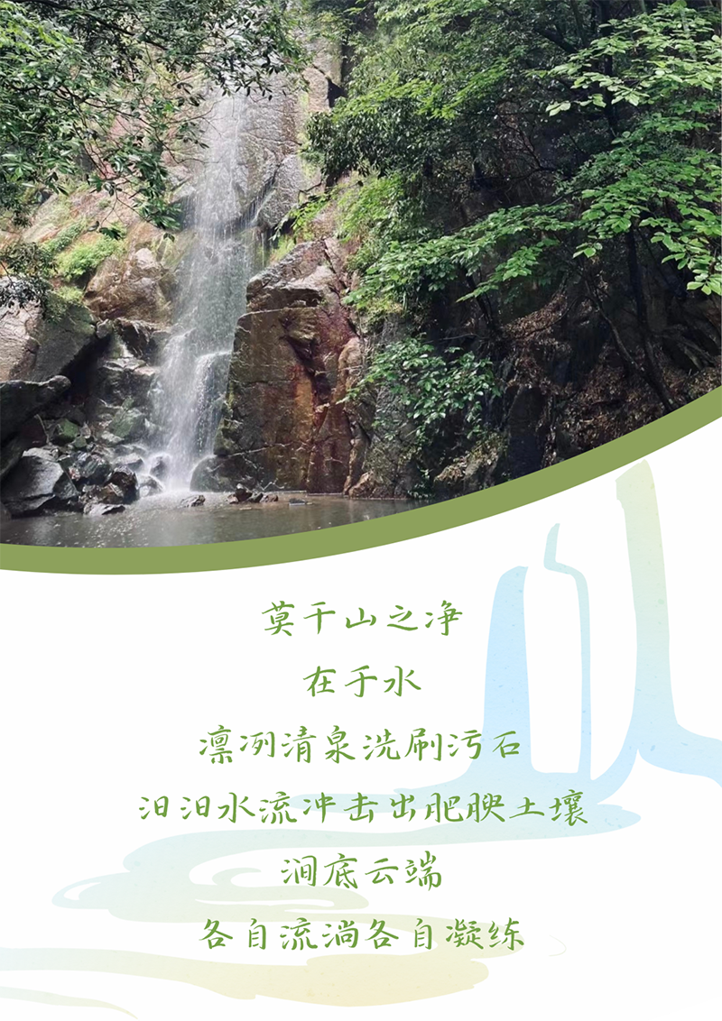 心心念廿 相伴满堂彩 | 与德清相约 贺廿载诞辰