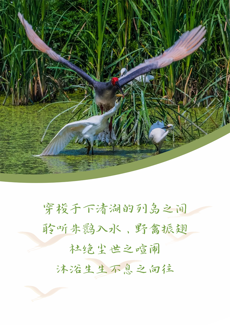 心心念廿 相伴满堂彩 | 与德清相约 贺廿载诞辰