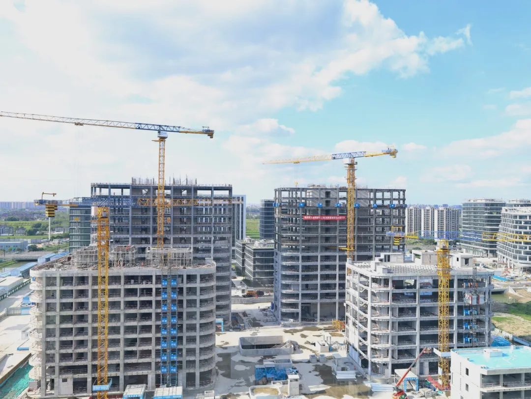 同心同向 造炬成阳 | 满堂彩股份2024年第三季度动态速览